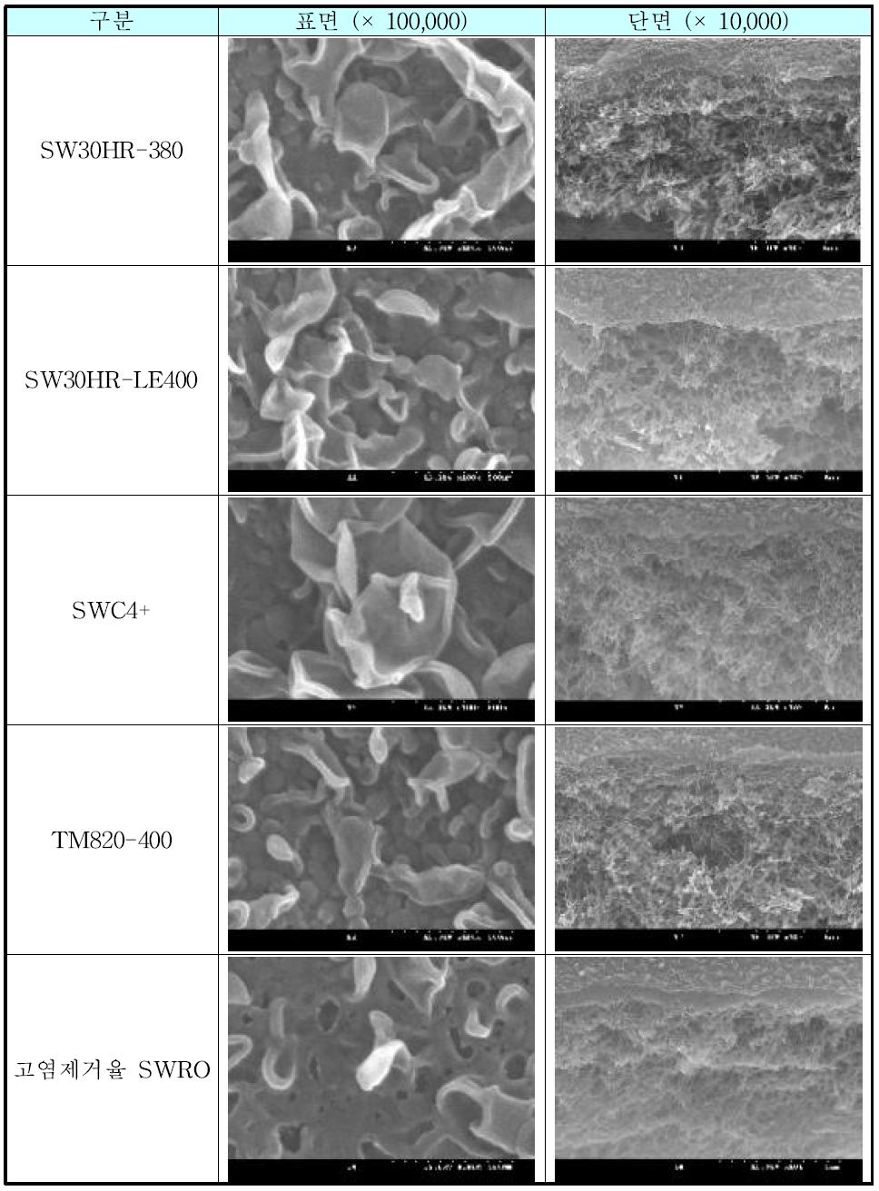 SEM images of SWRO membranes