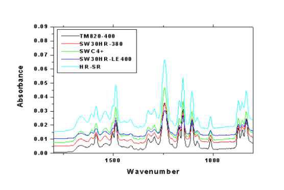 FT-IR spectra of SWRO membranes