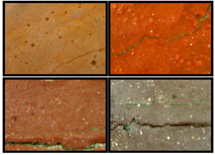 Microphotograph of back changbang of Daeseongjeon Hall of Najuhyanggyo Confucian School(NJD6_R1, NJD6_R3, NJD6_R4, NJD6_R5).