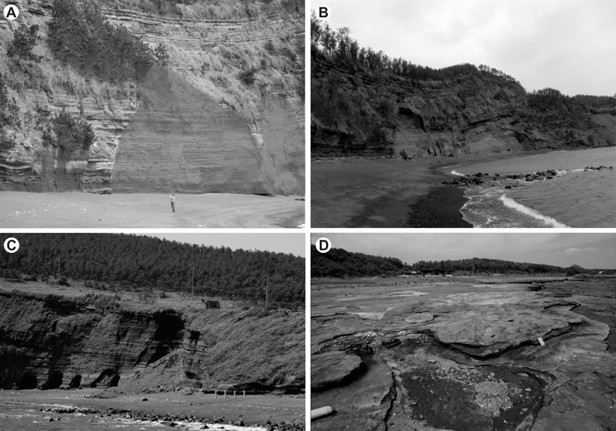 송악산 해안절벽의 붕괴 사례(A-C)와 발자국화석산지의 침식과 재 퇴적 현상(D)