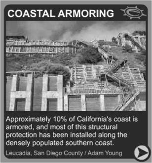 캘리포니아 해안절벽 보호 그림