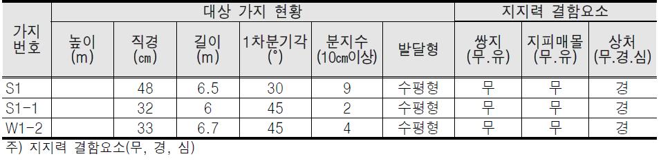 대상가지 현황 및 지지력 결함 요소표