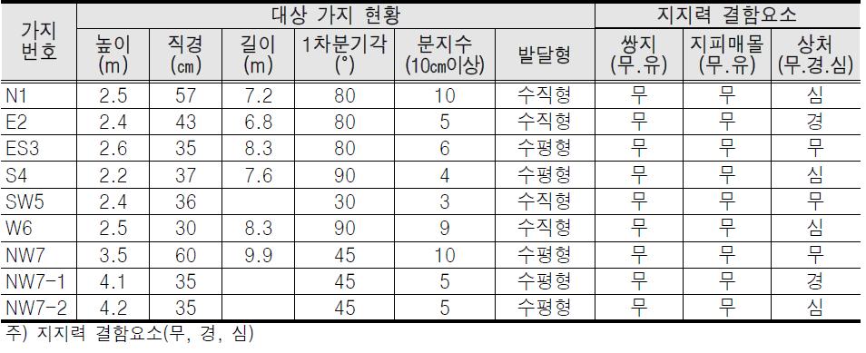 대상가지 현황 및 지지력 결함 요소표(Target branch status and bearing capacity defective component table)