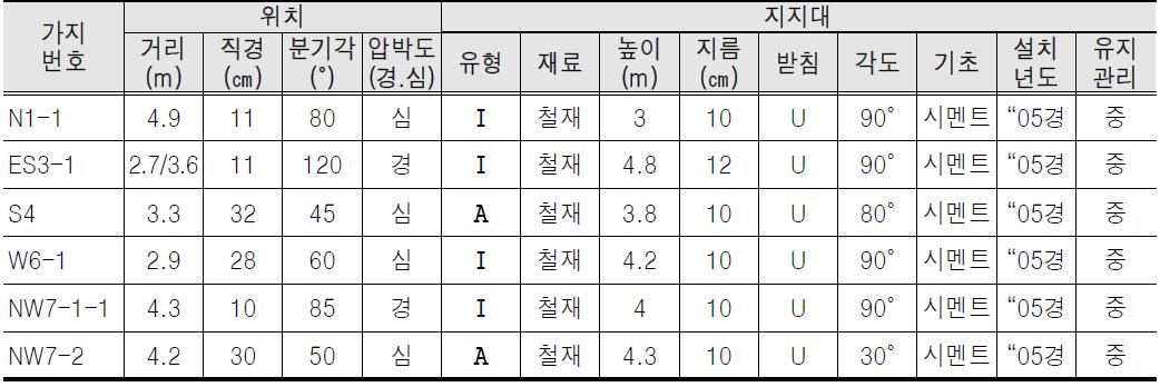 남양주 양지리 향나무 지지대 배치