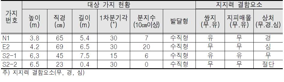 대상가지 현황 및 지지력 결함 요소표