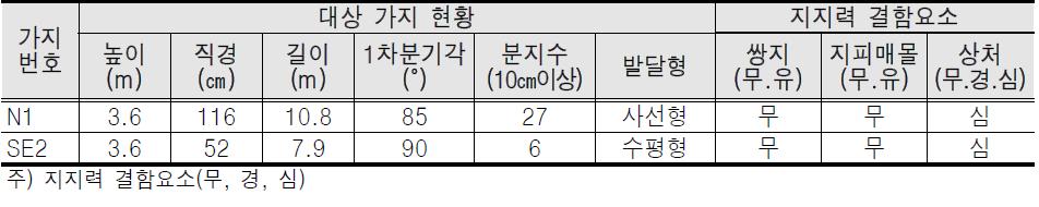 대상가지 현황 및 지지력 결함 요소표