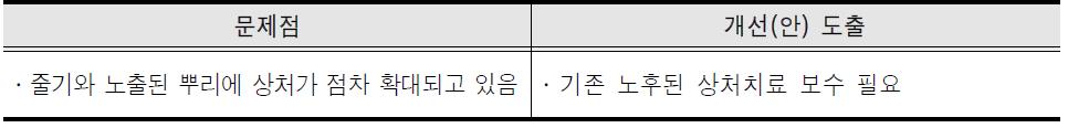 문제점 및 개선(안)