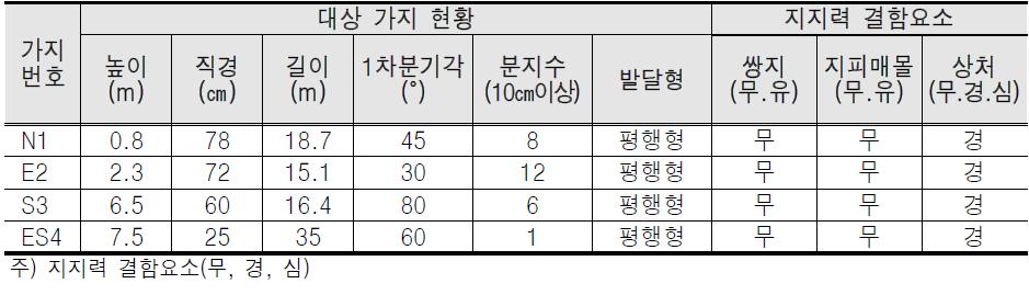 대상가지 현황 및 지지력 결함 요소표