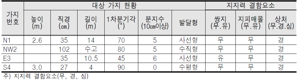 대상가지 현황 및 지지력 결함 요소표