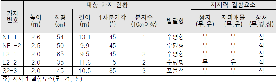 대상가지 현황 및 지지력 결함 요소표