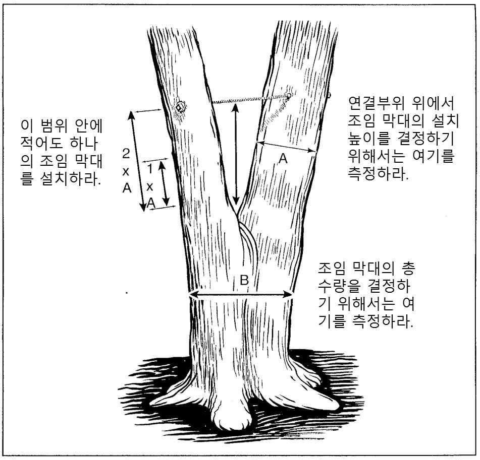 조임 막대 설치(Smiley와 Lilly, 2014)