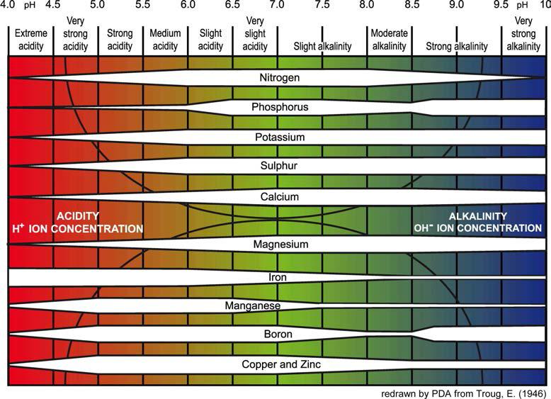 토양 pH 변화에 따른 무기영양소의 유용성 변화