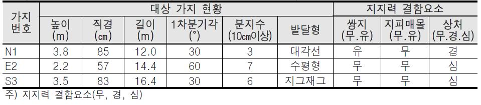 대상가지 현황 및 지지력 결함 요소표