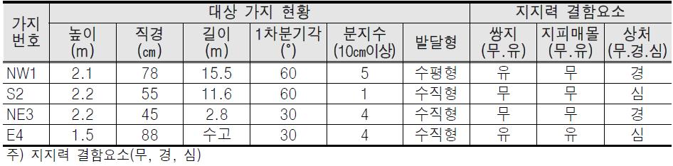 대상가지 현황 및 지지력 결함 요소표