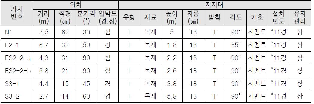 서울 문묘 은행나무(東) 지지대 배치