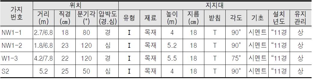 서울 문묘 은행나무(西) 지지대 배치