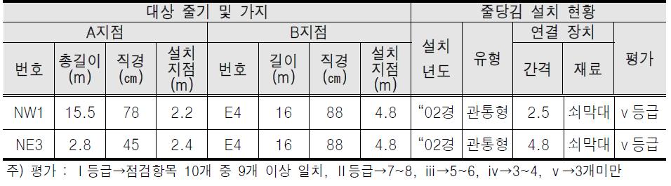 서울 문묘 은행나무(西) 줄당김 조사표