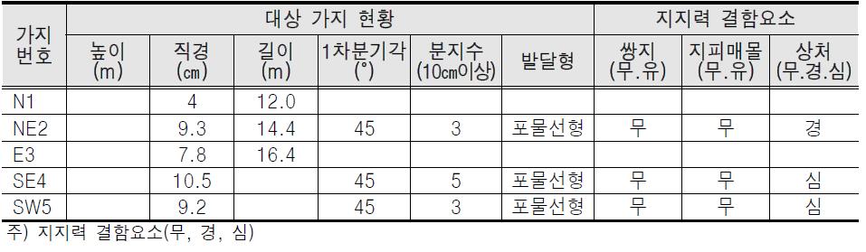 대상가지 현황 및 지지력 결함 요소표