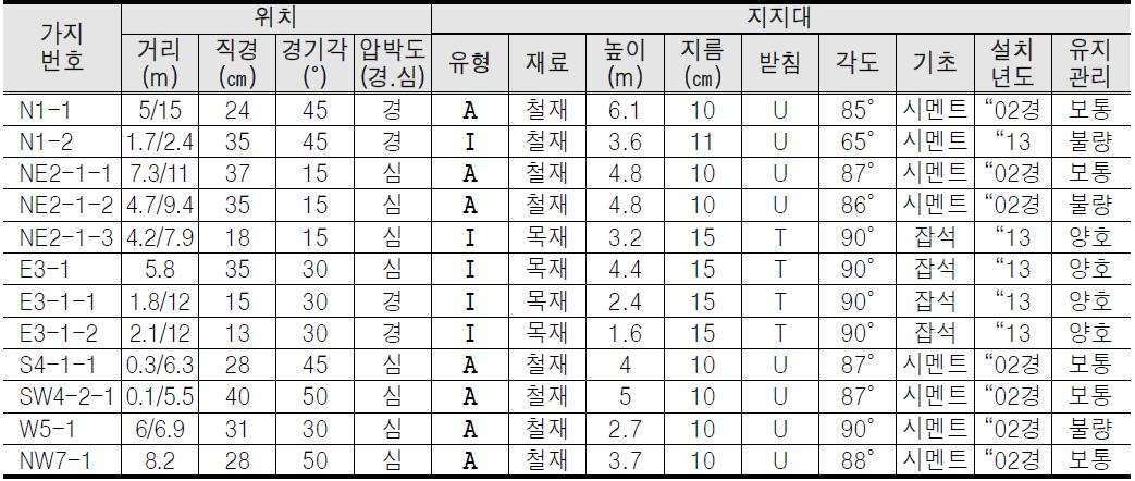 원주 반계리 은행나무 지지대 설치