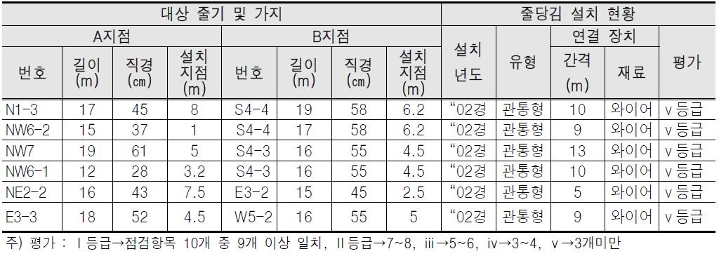 원주 반계리 은행나무 줄당김 조사표