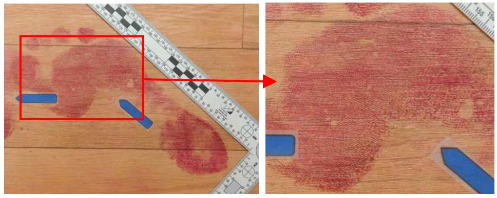 헝가리안 레드 시약으로 증강한 범행현장의 혈흔족적 형태로서 얼핏 보기에는 맨발 족적인 것 같지만 직줄무늬흔이 식별되므로 양말을 신은 상태임을 알 수 있다