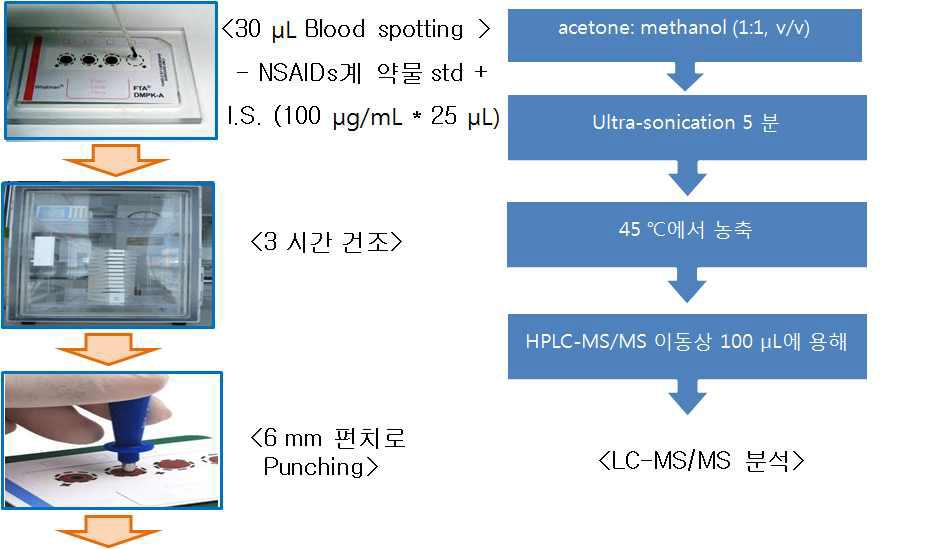 DBS를 이용한 혈액에서 NSAIDs계 약물분석 모식도