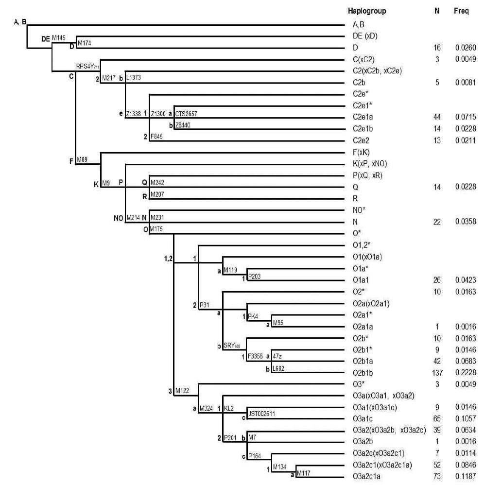 Y-STR haplogroup