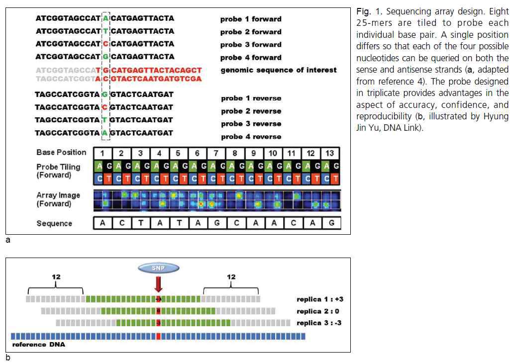 Sequencing array 디자인.