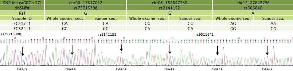 sample을 capillary sequencing을 하여 WES 데이터와 비교