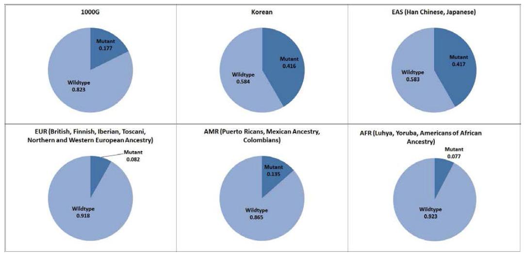 400 SNP의 한국인과 그 외 인종집단들의 대립유전자빈도 비교