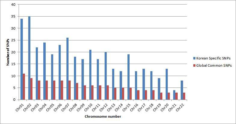 각 염색체별 한국인 특이적 및 global common SNP의 분포