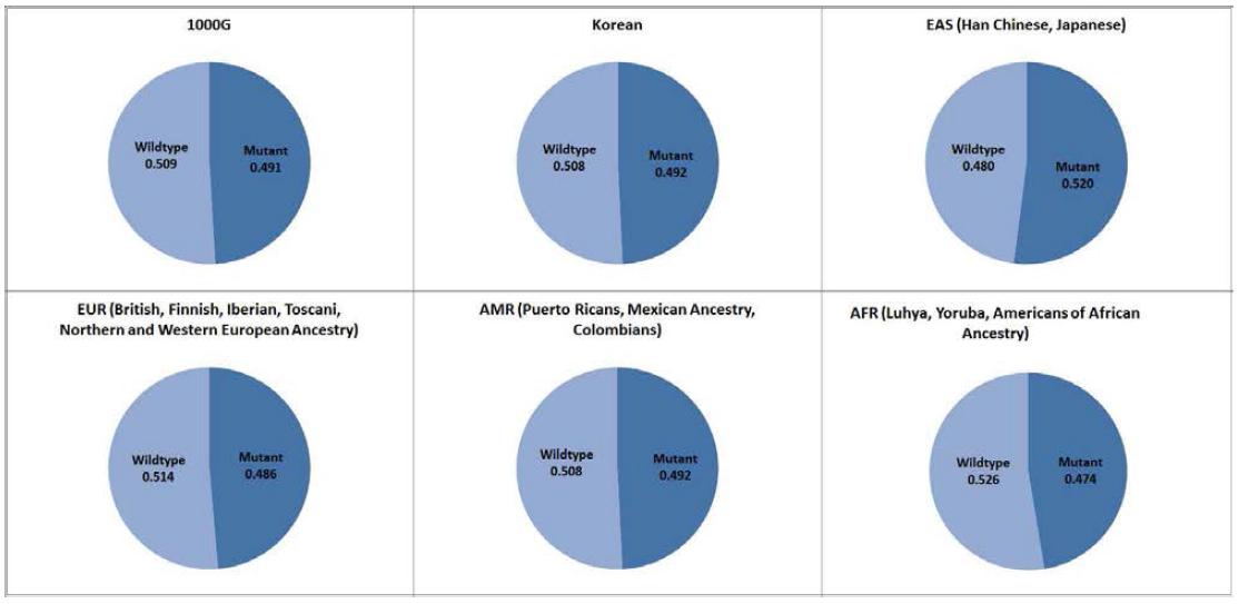 Global common SNP에 대한 한국인과 타 인종 집단들의 대립유전자 빈도(MAF) 비교