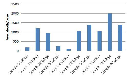 유해시료에서 추출한 DNA의 library로부터 얻어진 NGS 결과에서 mitochondria 한 개의 base 당 얻어진 평균 depth