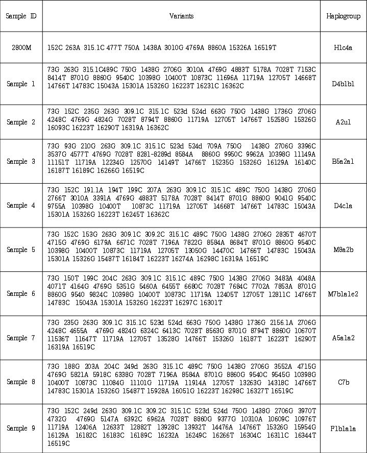 분해된 시료에서 확인된 mtDNA 염기서열변이와 추정되는 haplogroup