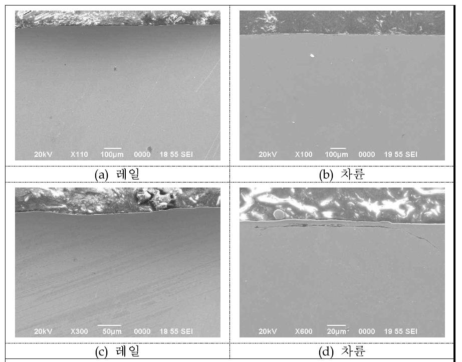 SEM Micrograph 레일피로균열 (코팅레일(CM), 900MPa, 100만회)