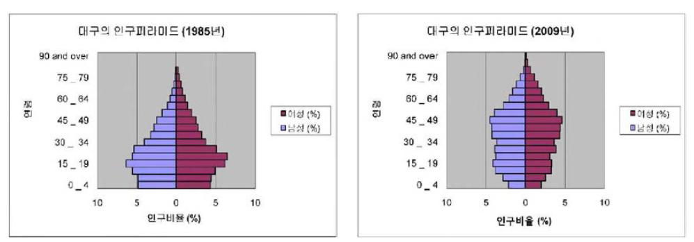 대구의 인구피라미드