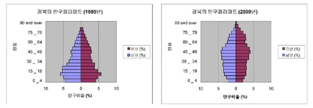 경북의 인구피라미드