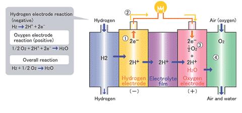 연료전지 구조
