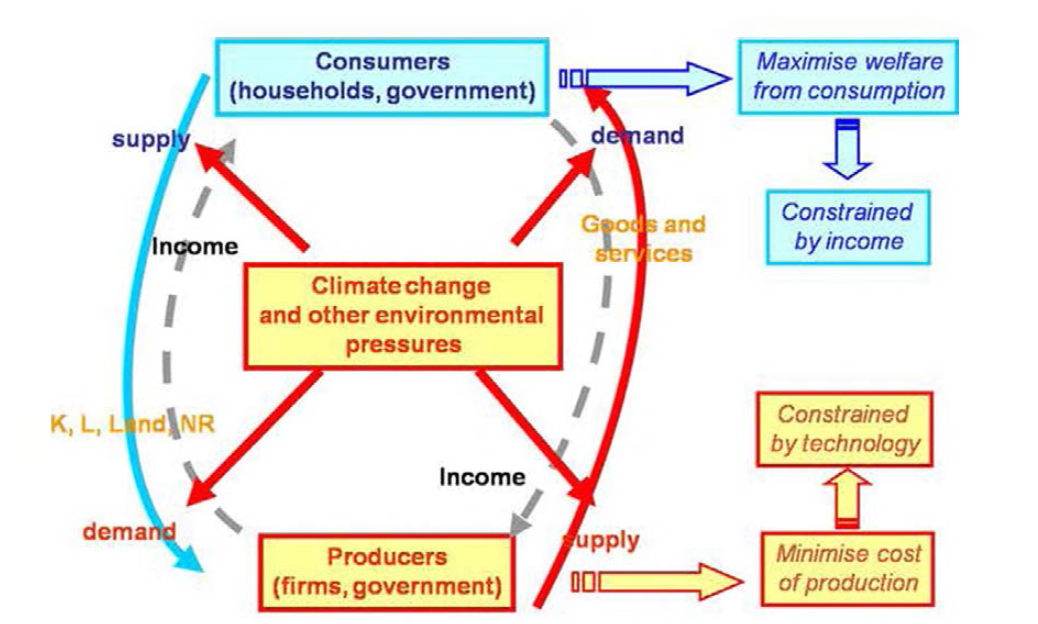 CGE 모형의 기후변화 적용