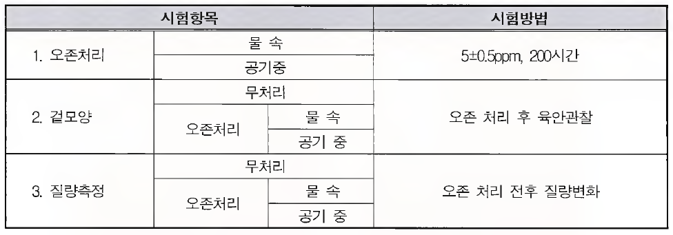 내오존성능 시험의 환경