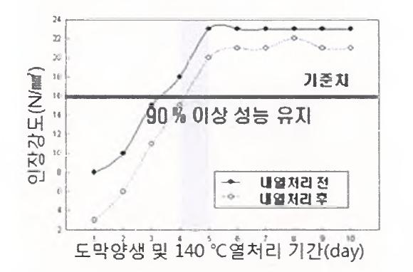 신청 도막의 열화처리 후 인장성능