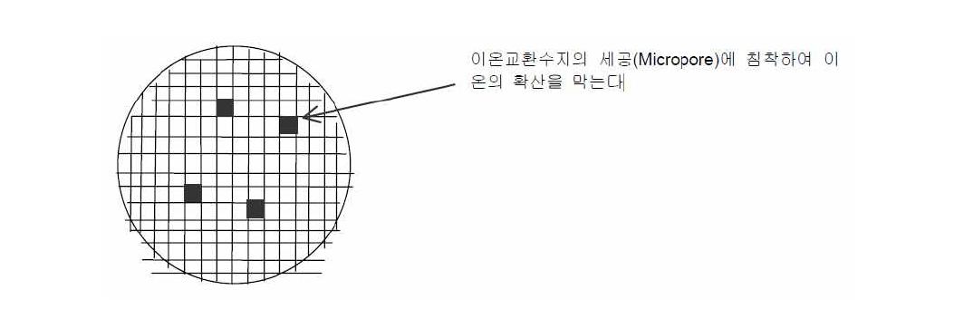 철에 오염된 이온교환수지