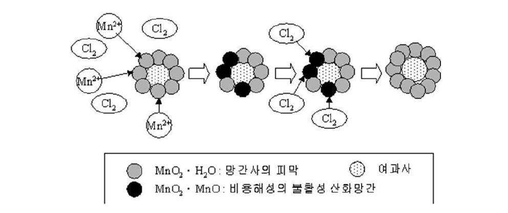 망간제거 메커니즘