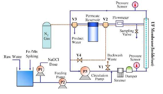 Bench-scale UF 시스템 정수처리에 있어서 염소의 투입