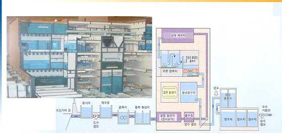 빌딩형 정수시설의 공정도 및 내부 구성도