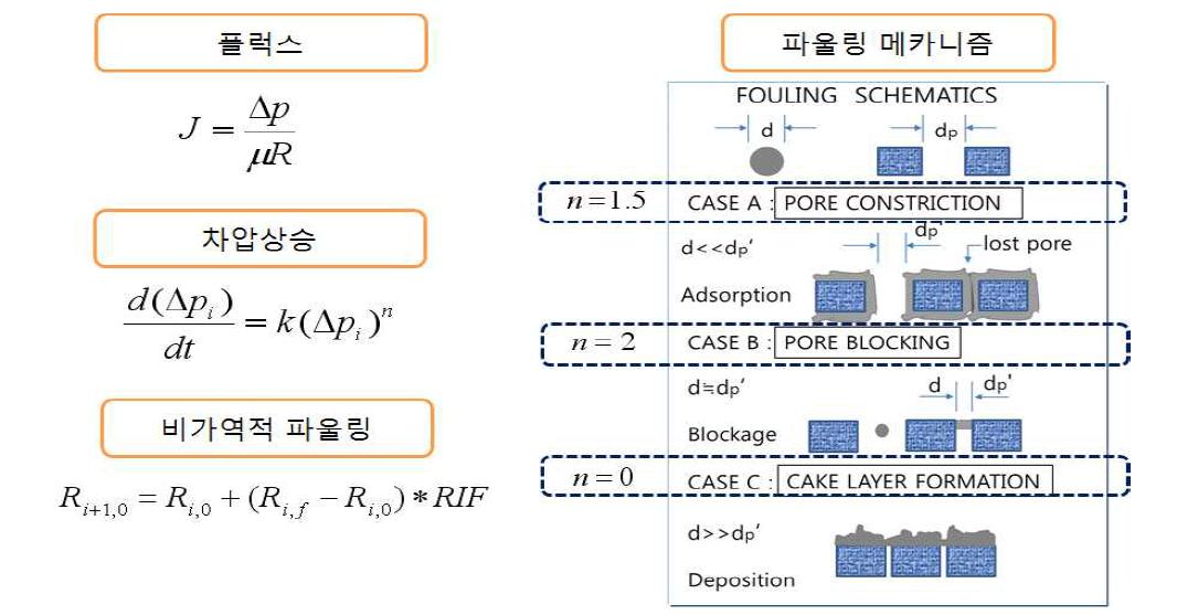 정유량 막여과의 파울링 모델