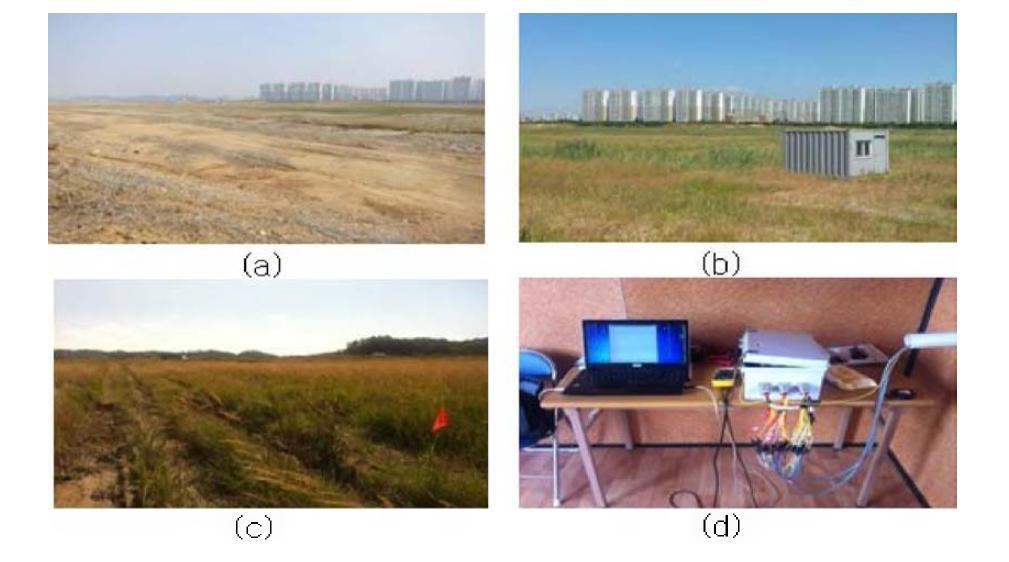 연구 지역의 사진 . (a) 연구 초기의 사진 (5월)，측선 설정 후 사진 (8월 )，(c) 측선 설정 사진，(d) 콘테이너 안 전기비저항 모니터링 장비
