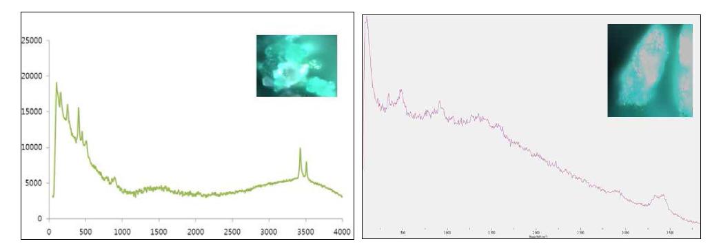 Raman spectrum of green samples in Tongdosa 1(left) and Bukjangsa(right) paintings.