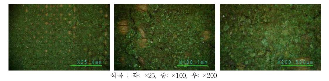 채색문화재의 녹색 안료 표면에 대한 배율 별 광학현미경 관찰.