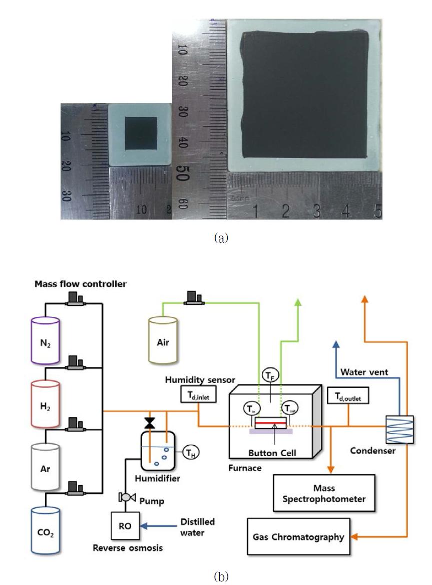 (a) 고온 동시전기분해용 연료극 지지형 단전지 (2cm × 2cm 및 5cm × 5cm) 및 (b) 고온 동시전기분해 단전지 전기화학 성능 및 합성가스 생산 특성 분석 시스템